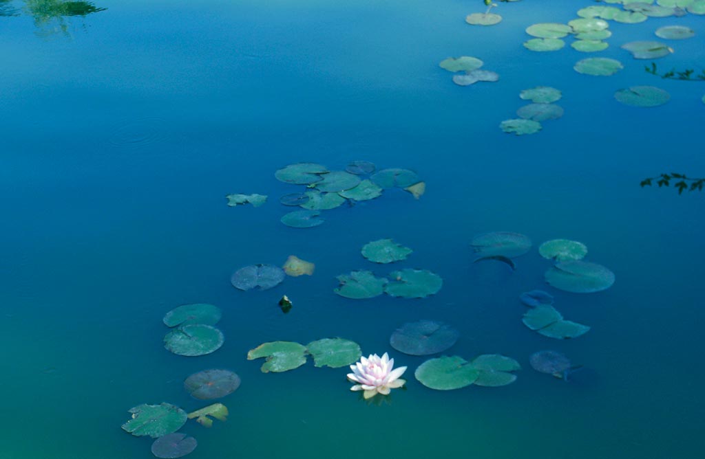 Foto: Alejandra Engelberg