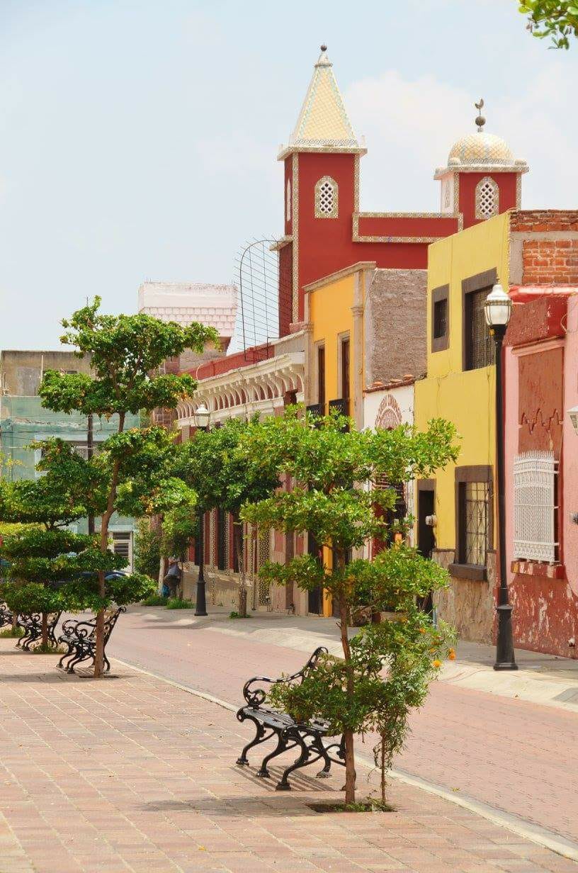 WhatsApp Image 2018-09-01 at 22.15.22 Jalico5