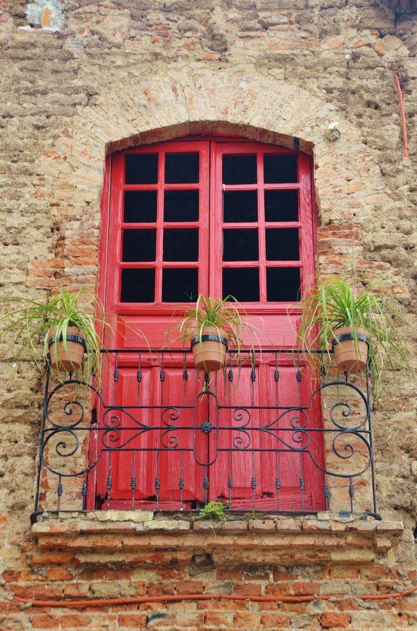 WhatsApp Image 2018-09-01 at 22.15.22 Jalico6